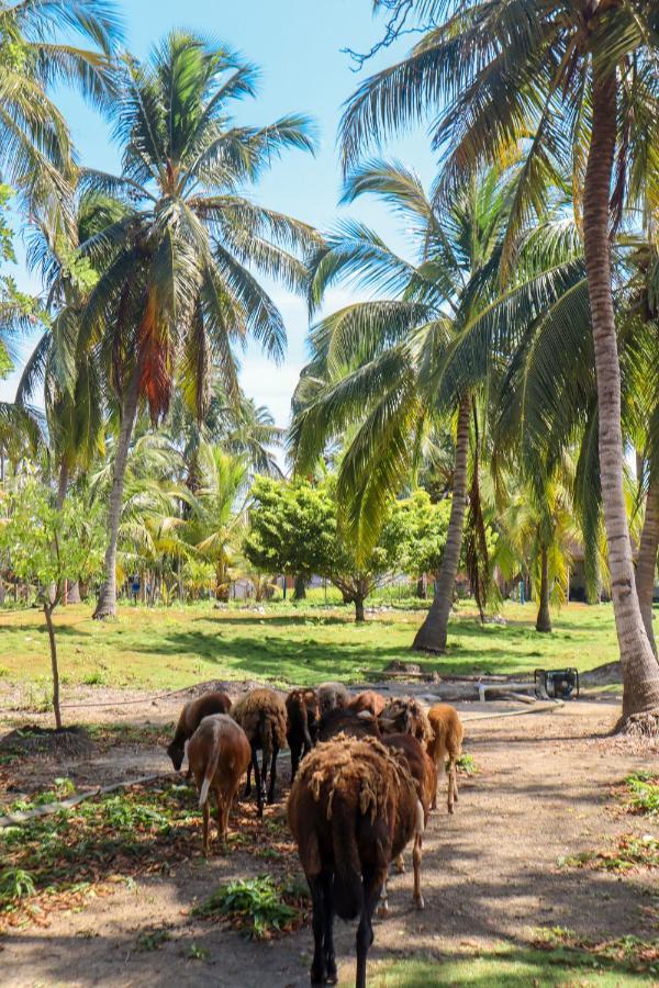 Vila Dahlandia Isla Mucura Exteriér fotografie