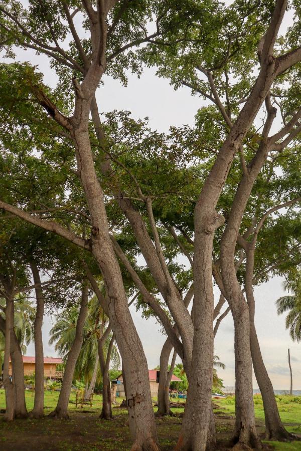 Vila Dahlandia Isla Mucura Exteriér fotografie